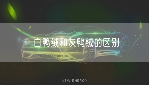 白鸭绒和灰鸭绒的区别